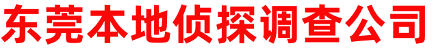 东莞市本地侦探公司